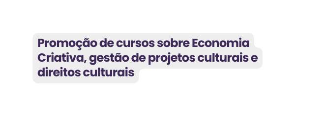Promoção de cursos sobre Economia Criativa gestão de projetos culturais e direitos culturais